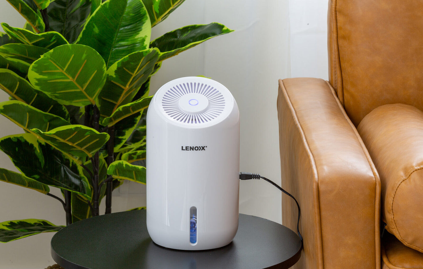 Thermo-Electric Peltier Dehumidifier w/ 300ml/Day Capacity (White)