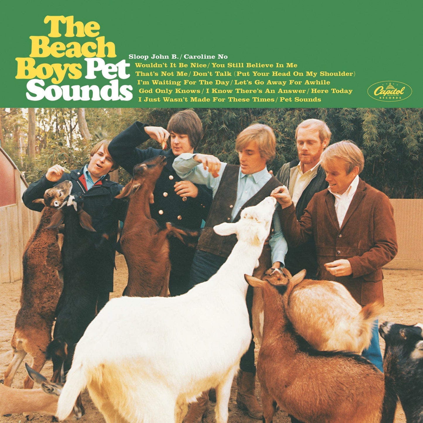 Crosley Record Storage Crate &  The Beach Boys Pet Sounds - Vinyl Album Bundle