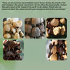 Handmade nutshell wind chime, nutshells rustling in the wind, bringing a touch of mountain forest atmosphere to your home.