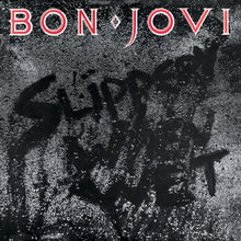 Load image into Gallery viewer, Bon Jovi Slippery When Wet - Vinyl Album &amp; Crosley Record Storage Display Stand
